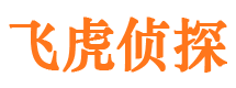 周村市私家侦探